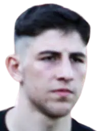 M. Yiğit