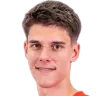 mahir besic