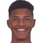 Vinicius Augusto Tobias