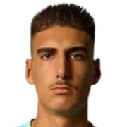 Guilherme Meireles Pires
