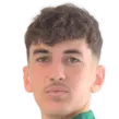 Henry Bates Andreou