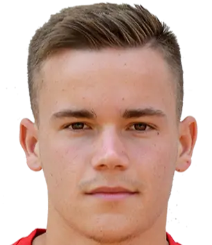 Nemanja Dragutinović