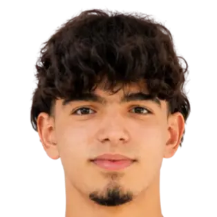 Mohamed Sadok Mahmoud