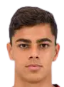 Raul Haiduc