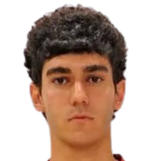 hamlet sargsyan