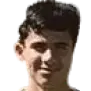 vicente alvarez