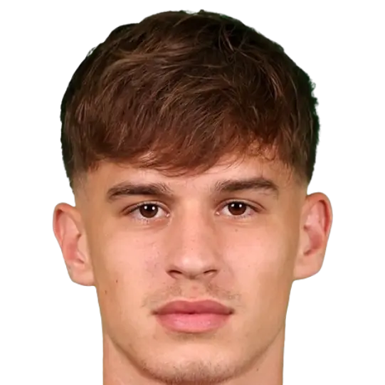 Bogdan mircetic