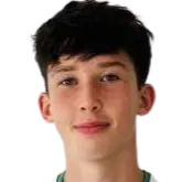 artem fesenko