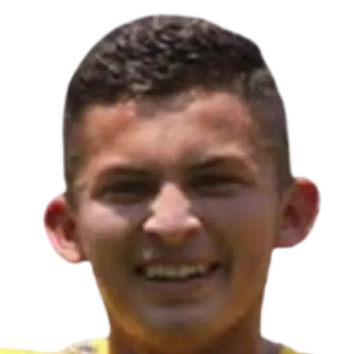 Selvil teni