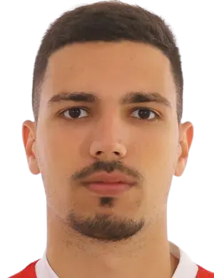 stefan tesic