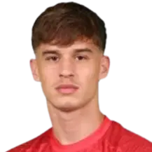 B. Mirčetić