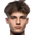 N. Grlić