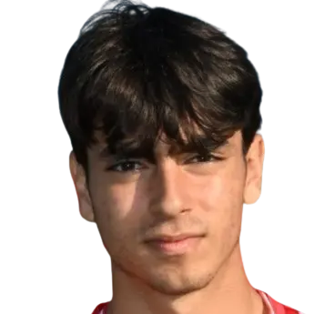 Danilo Treffiletti
