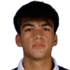 Nicolas Vargas