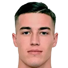 Luka Sučić