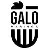 Galo Maringá