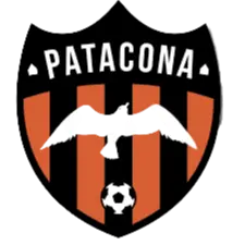 Patacona