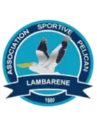 Pelican Lambaréné