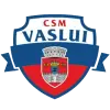 CSSM Vaslui