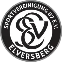 SV Elversberg Sub-19