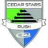 Cedar star