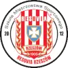 Resovia Rzeszów Feminino