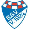 Brinkumer SV