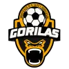Gorilas de Juanacatlán II