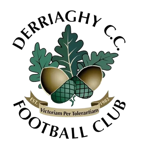 Derriaghy FC