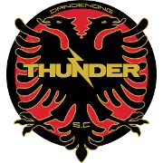 Dandenong Thunder
