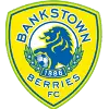 Canterbury Bankstown FC