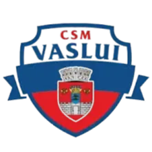 CSM Vaslui