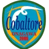 Cobar Torre Onagawa