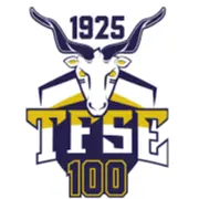 TFSE Budapest