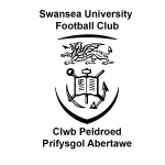 Universidad de Swansea
