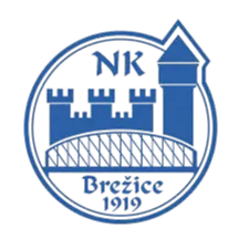 NK Brežice U19