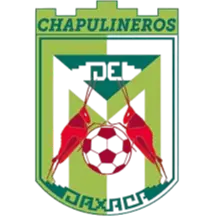 Chapulineros de Oaxaca II