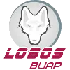 Lobos Puebla
