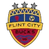 Flint City Bucks
