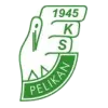 Pelikan Łowicz