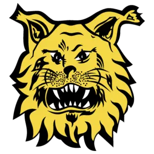 Ilves Tampere II