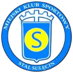 Stal Sulecin
