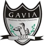 Gavia Choszczno