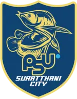 Surat Thani City
