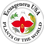 Ecuagenera
