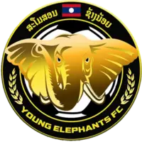 Young Elephants (Feminino)