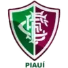 Fluminense PI Juvenil