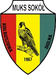 Sokol Kolbuszowa Dolna
