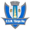 CSM Târgu Jiu