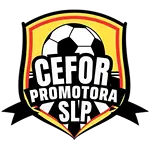 Cefor Promotora San Luis